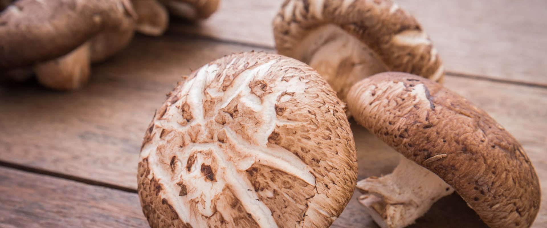 Which mushrooms for lung health?