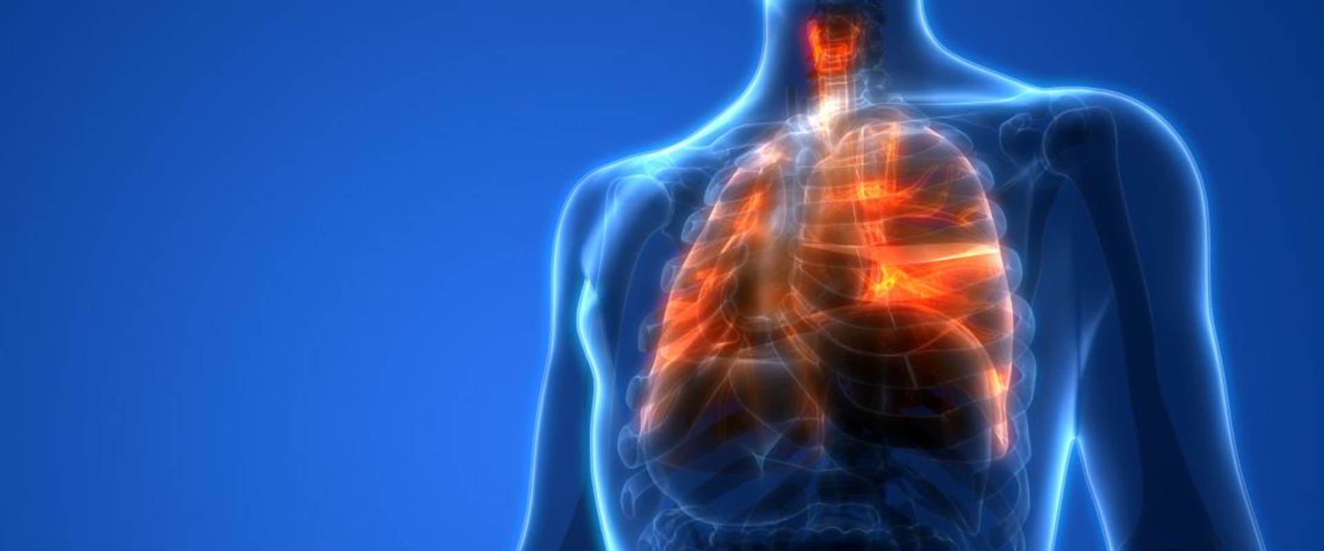Why are healthy lungs important?