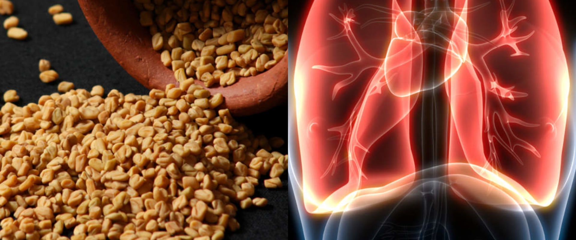 What is good for your lung health?