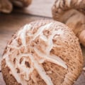 Which mushrooms for lung health?