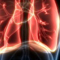 What is good for your lung health?