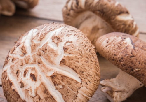 Which mushrooms for lung health?
