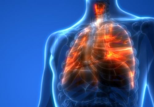 Why are lungs the most important thing?